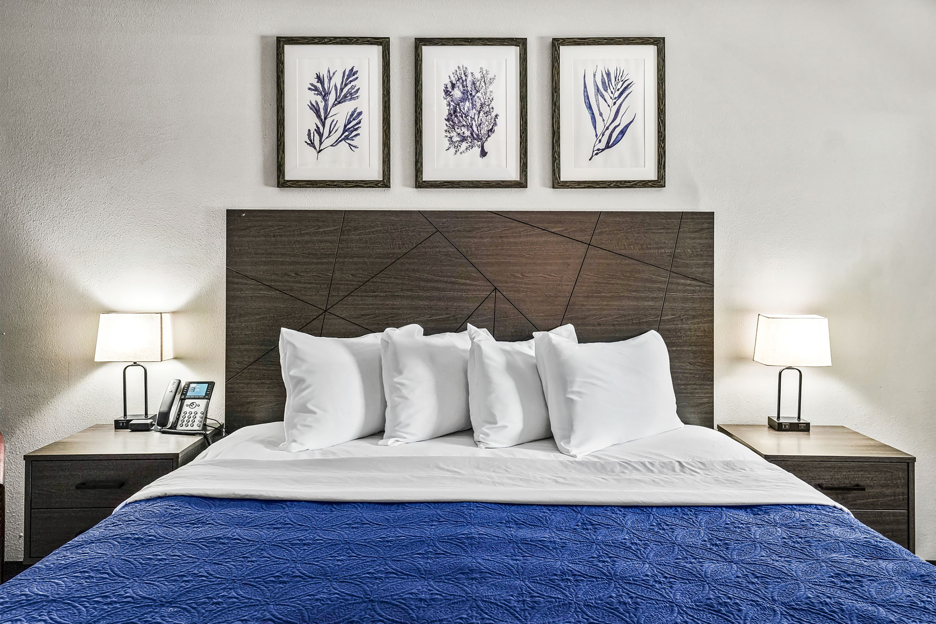 Guest room at the Baymont by Wyndham Ocala Suites in Ocala, Florida